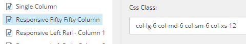 CSS Class Item