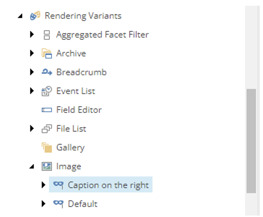 View of the image component duplicating the variant in the Content Editor