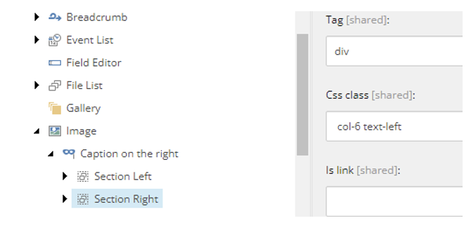 Variant section CSS with left-aligned text