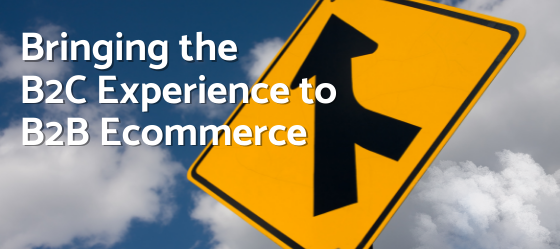 Bringing B2C Experience to B2B Ecommerce